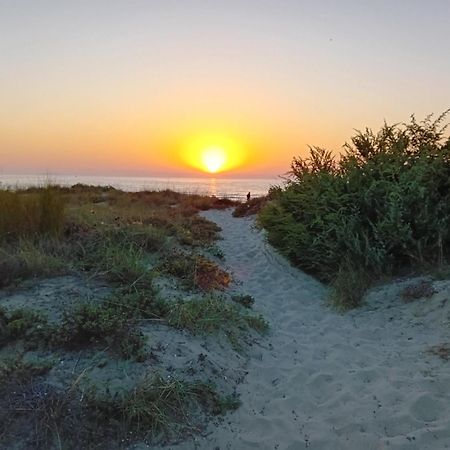 Apartament Accesso Diretto Sul Mare Maredilucecala Calambrone Zewnętrze zdjęcie