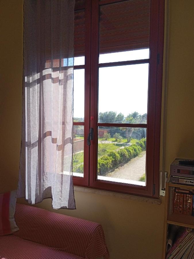 Apartament Accesso Diretto Sul Mare Maredilucecala Calambrone Zewnętrze zdjęcie