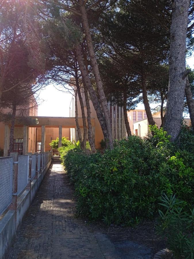Apartament Accesso Diretto Sul Mare Maredilucecala Calambrone Zewnętrze zdjęcie