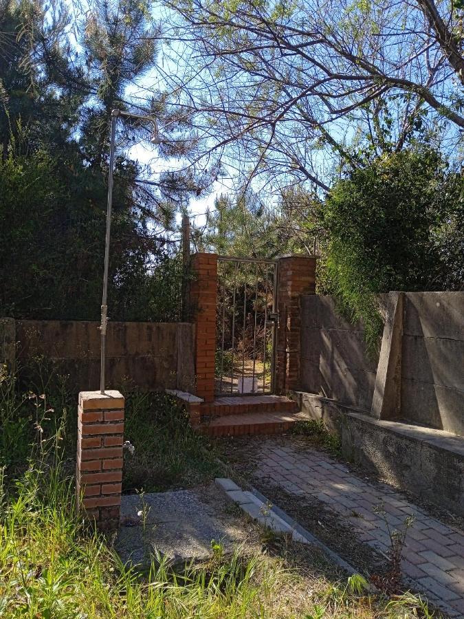 Apartament Accesso Diretto Sul Mare Maredilucecala Calambrone Zewnętrze zdjęcie