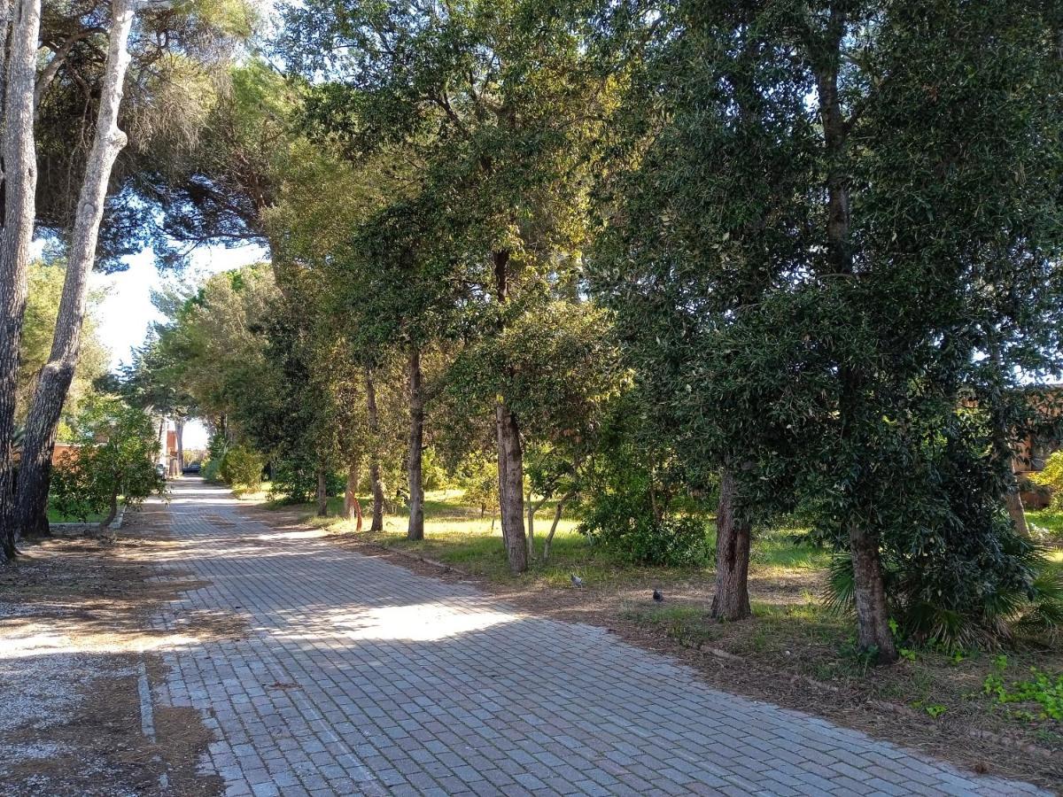 Apartament Accesso Diretto Sul Mare Maredilucecala Calambrone Zewnętrze zdjęcie